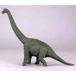 ����������, L (23 ��)