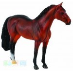 ������������ �������, �����, XL