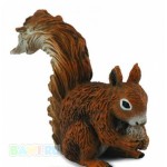 ������� ����� , S