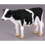 ������ , L (12 ��)