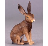 ����-����� , S (6 ��)