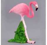 ��������, M