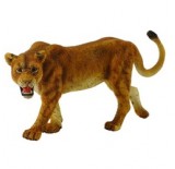 ������ , L (12 ��)