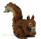 ������� ����� , S