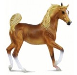 �������� ������, ������� ������, XL